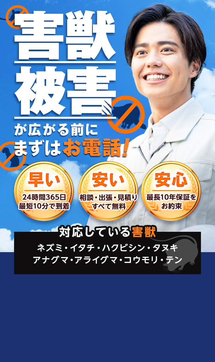害獣被害が広がる前にまずはお電話！早い　24時間365日最短10分で到着　安い　相談・出張・見積もりすべて無料　安心　害獣のプロが確実に仕留める【対応している害獣】ネズミ・イタチ・ハクビシン・タヌキ・アナグマ・アライグマ・コウモリ・テン